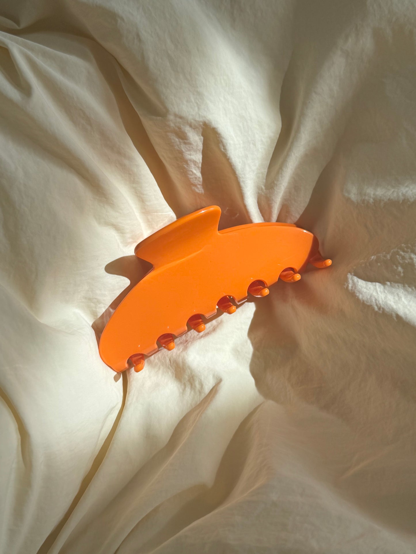 Spices hair clip