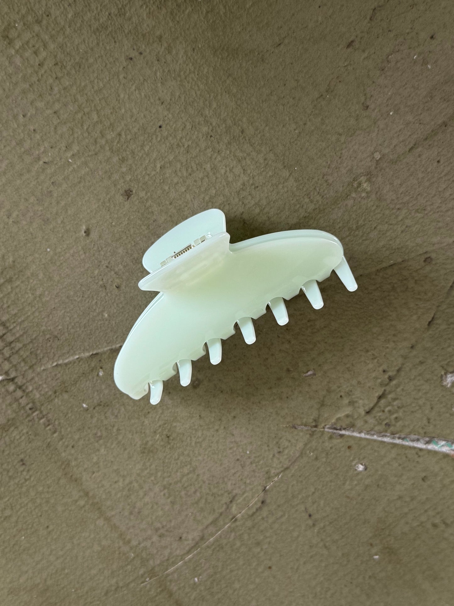 Spices hair clip