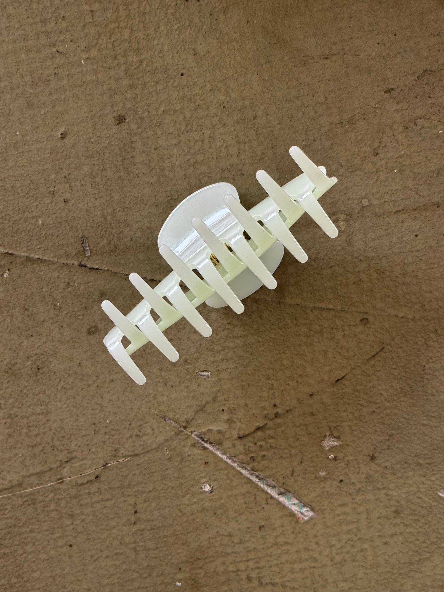 Spices hair clip